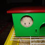little hamster's hideaway