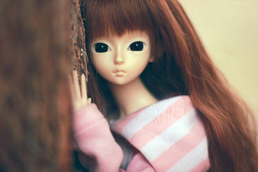 BJD | I've been waiting here for a while ..!