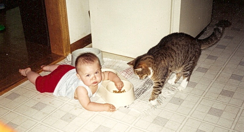 Cats And Babies By Errgerger On Deviantart Cats And Babies By Errgerger On Deviantart