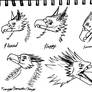Gryphon Expressions