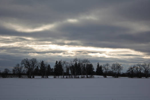 Winter Clouds