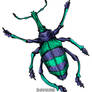 Eupholus schoenherrii Beetle