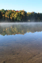 Morning Mist