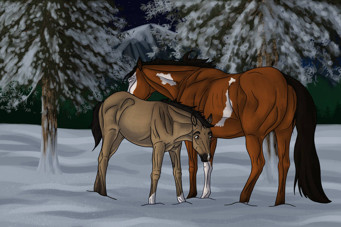 Sammy Cold CV - Cold Nights by SammyTheFloof on DeviantArt