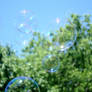 Bubbles and Bokeh