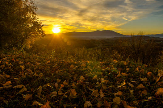 Autumn Sunset