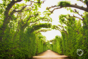 Schoenbrunn