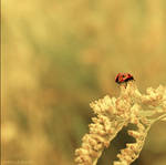 a bugs life by Aimelle