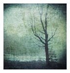 the past haunts us by Aimelle