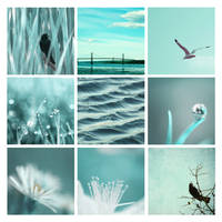 3x3 aqua nature photography