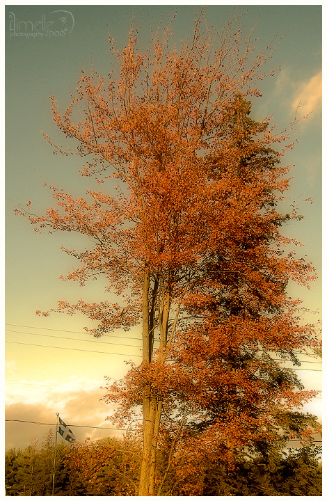 Autumn in Quebec