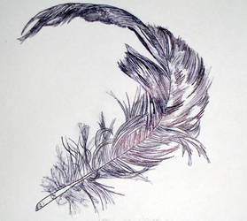 feather