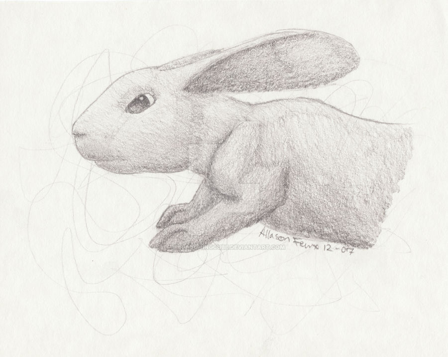 Cunning Rabbit by TheLaughingCube on DeviantArt