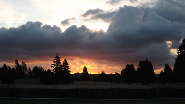 Rotorua Evening