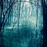Fog Two