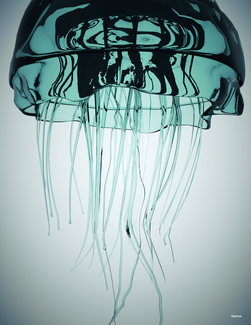 Jellyfish