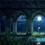 The Moon and Fireflies