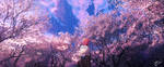 The Season of Cherry Blossoms