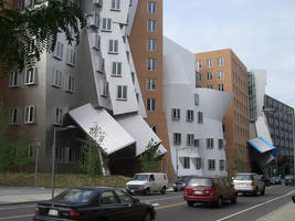 Gehry in Cambridge MA