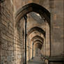 Winchester Cathedral Cloisters