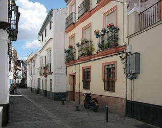 Seville Street