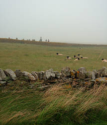 Dry Stone Walls