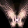 Fairy Wings