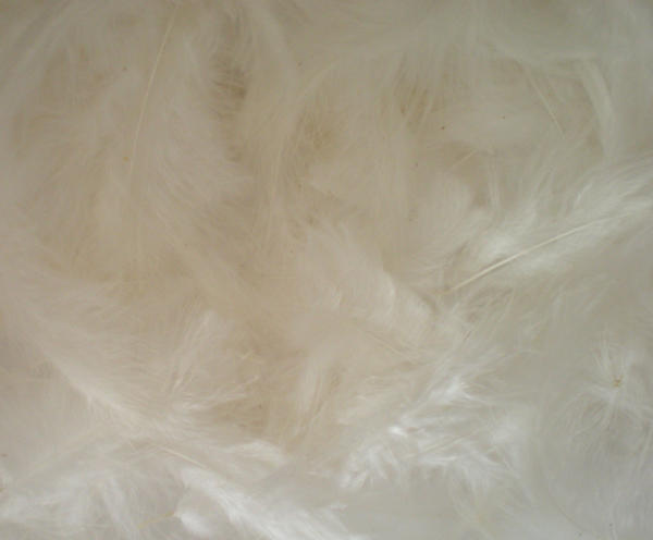 feather stock - white