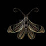 The Moth...