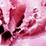 Stock Texture - Pink Marble