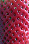 Stock Texture-Strawberry seeds by rockgem