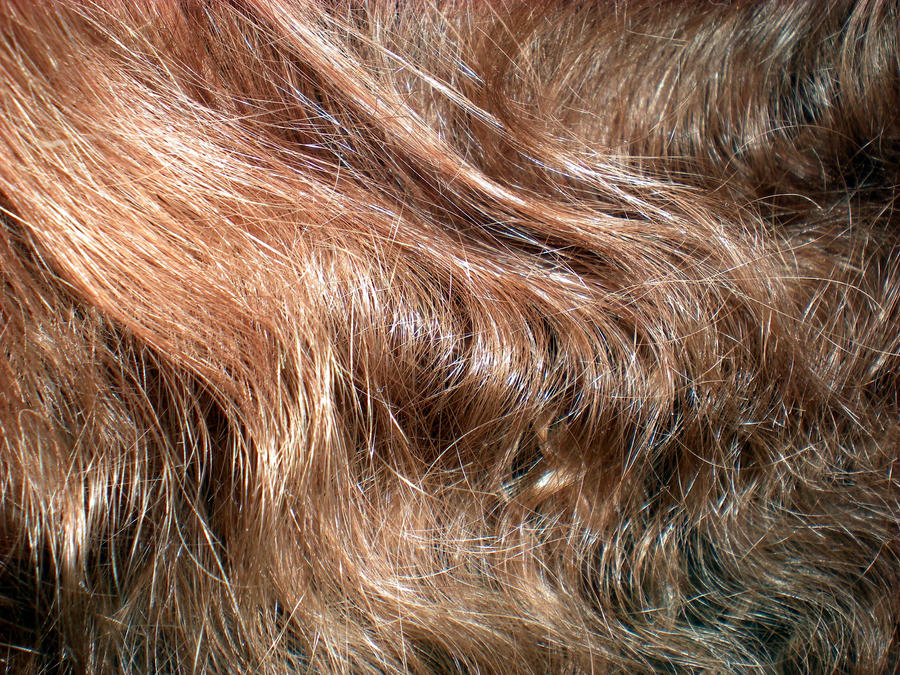 Stock Texture - Hair II