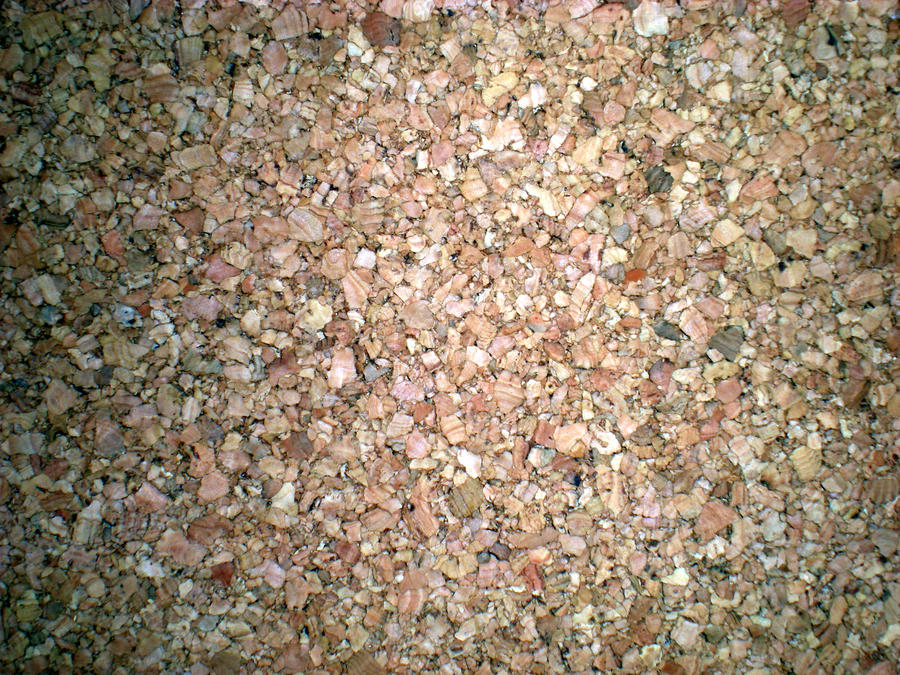 Stock Texture - Corkboard