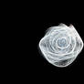 Fractal Stock - Glass Rose