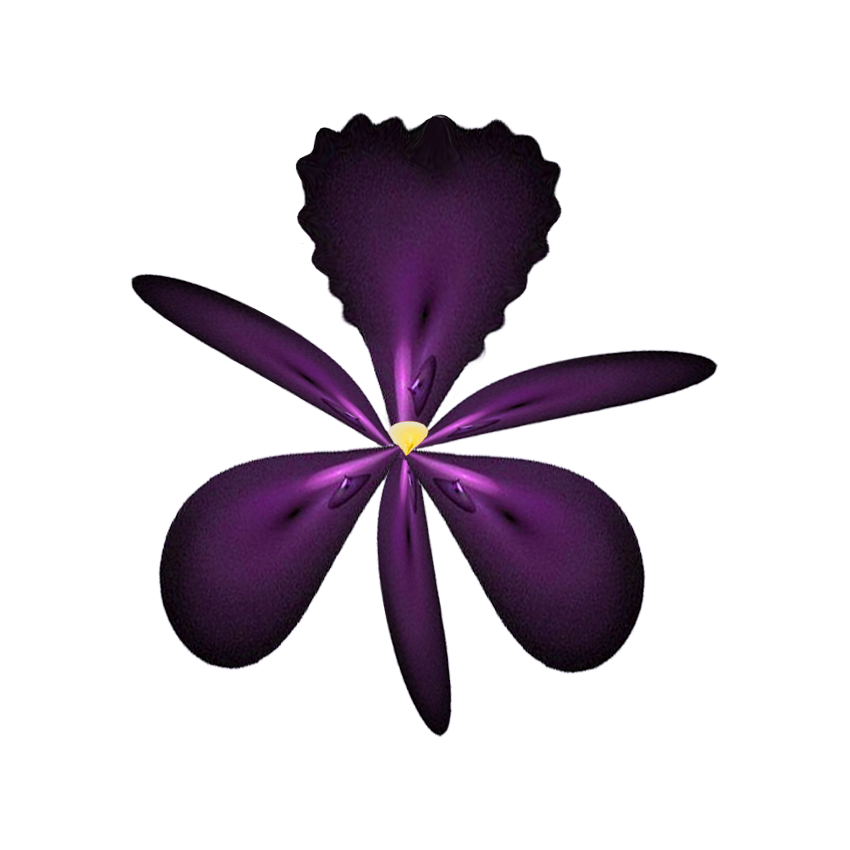 fractal Stock - Dark  orchid