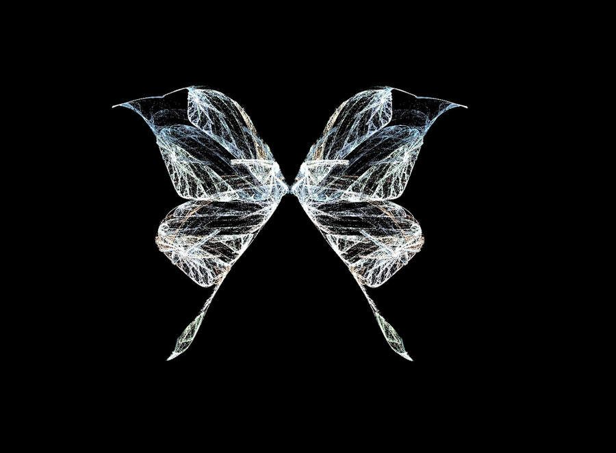 Fractal Stock- Fairy Wings XII