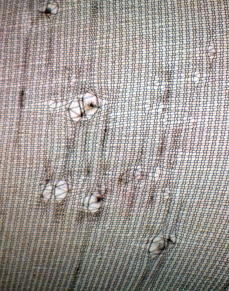 Stock texture - Pulled net by rockgem