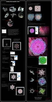 Fractal Manip. Tutorial For PS