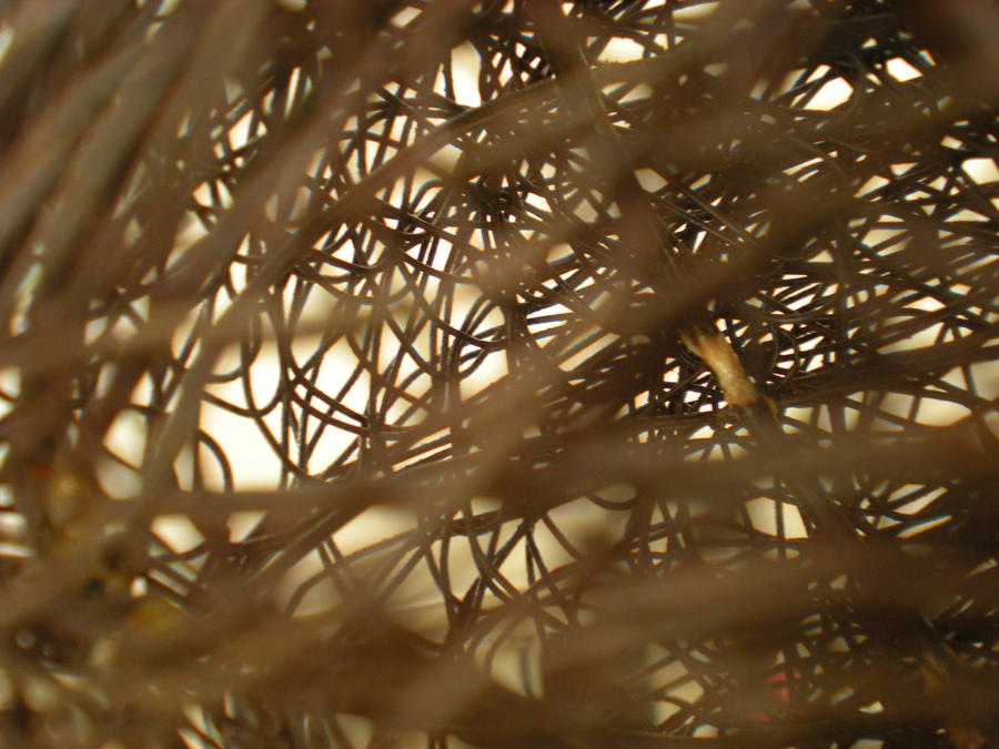 Stock texture - Wire tangle II