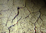Stock texture - Crackled II by rockgem