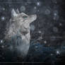Winter Wolf - Wallpaper