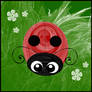 'Lil Ladybird