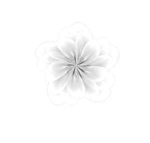 Fractal Manip. Stock - White Flower