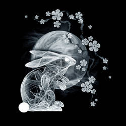 Lunar Ghost
