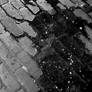 Galaxies in Puddles III