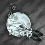 Snow Moon
