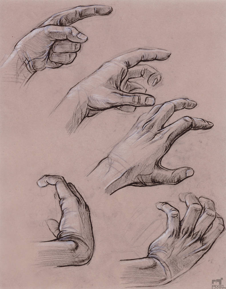 Hand Study by Liemn