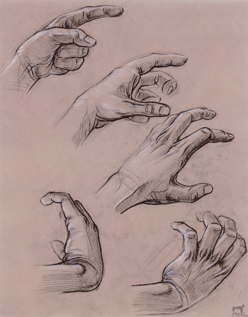 Hand Study by Liemn