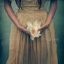 held my heart in my hands..