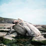 Siren Of The Sea II